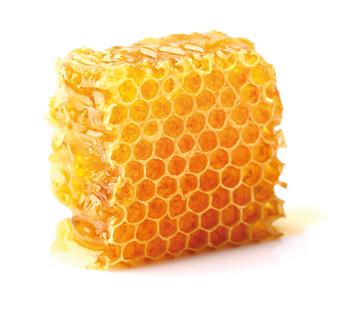 Morceau d'alvéoles de ruches d'abeilles